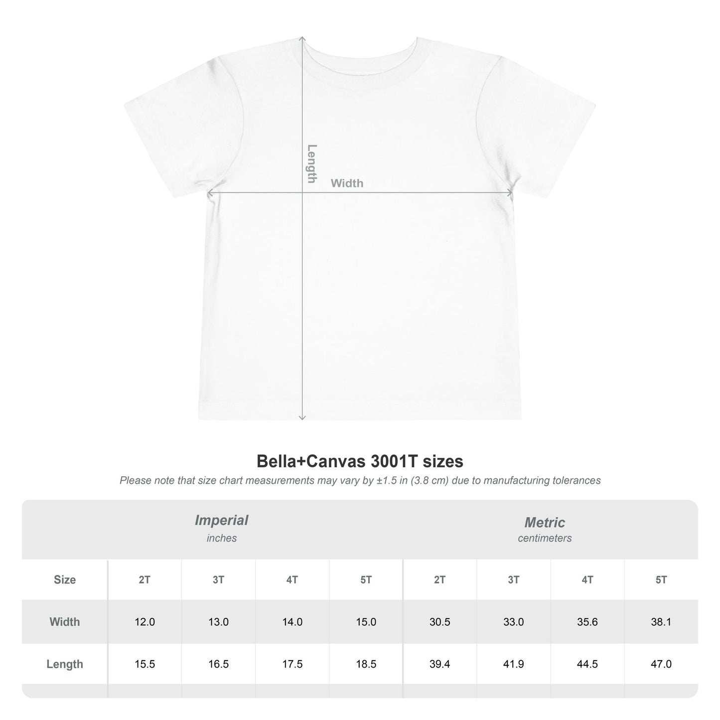 Toddler Postcard USA DG Short Sleeve Tee