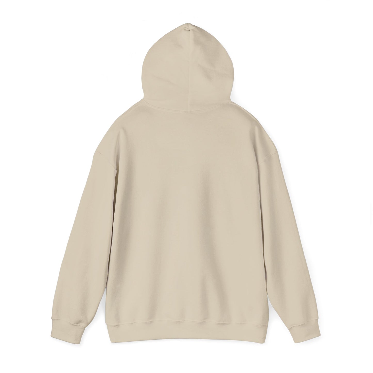 OCOTILLO WELLS - HOODIE