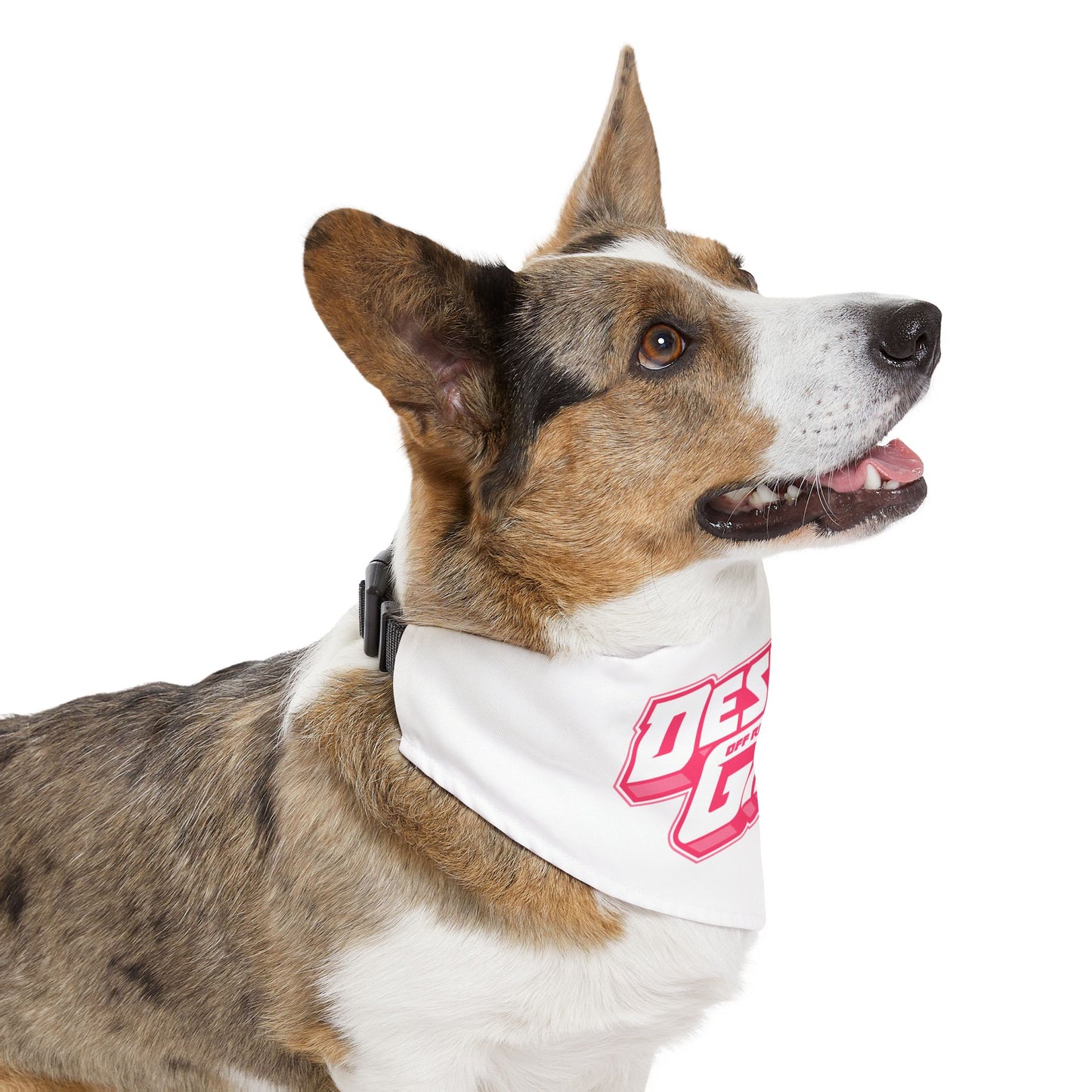 Pet Desert Girl Off-Road Collective Bandana Collar