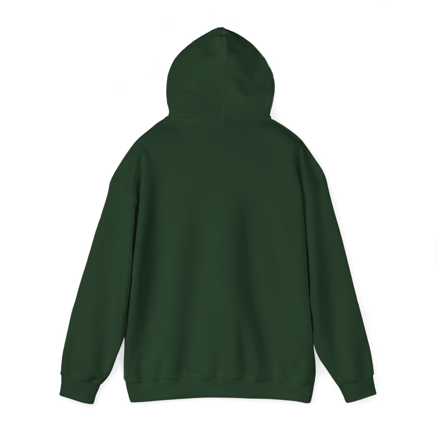 LAKE POWELL - HOODIE