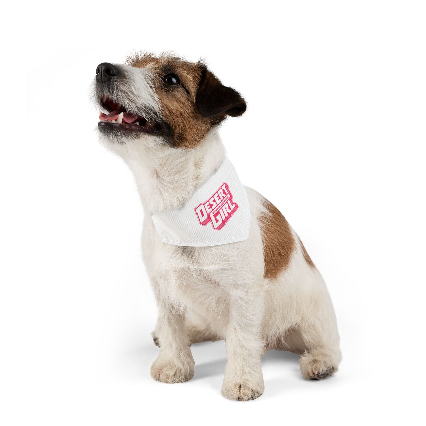 Pet Desert Girl Off-Road Collective Bandana Collar