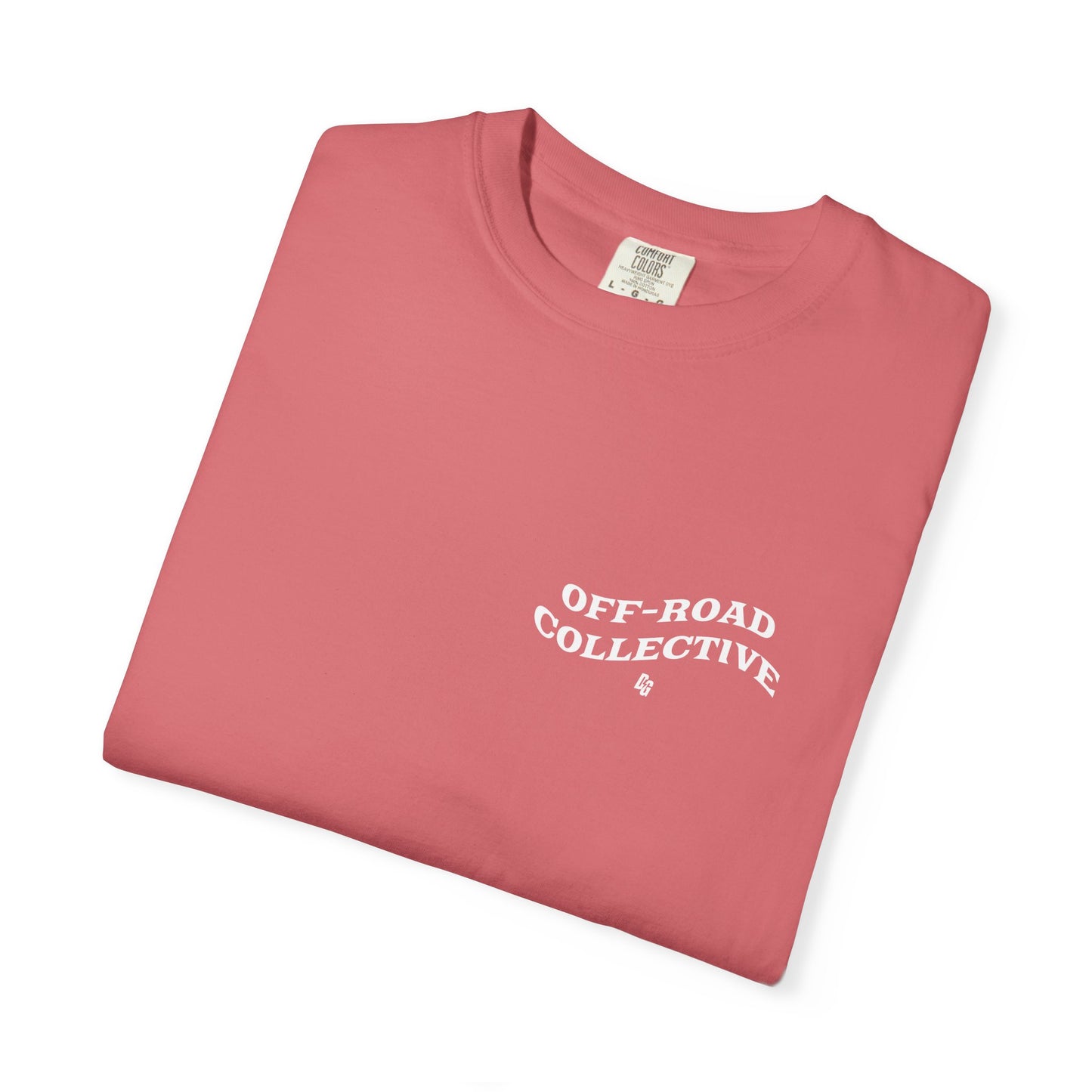 Get in Losers Comfort Colors Short Sleeve Tee - LAKE