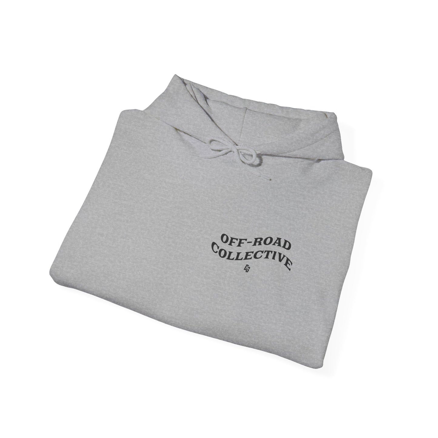 Get in Loser - LAKE Hoodie