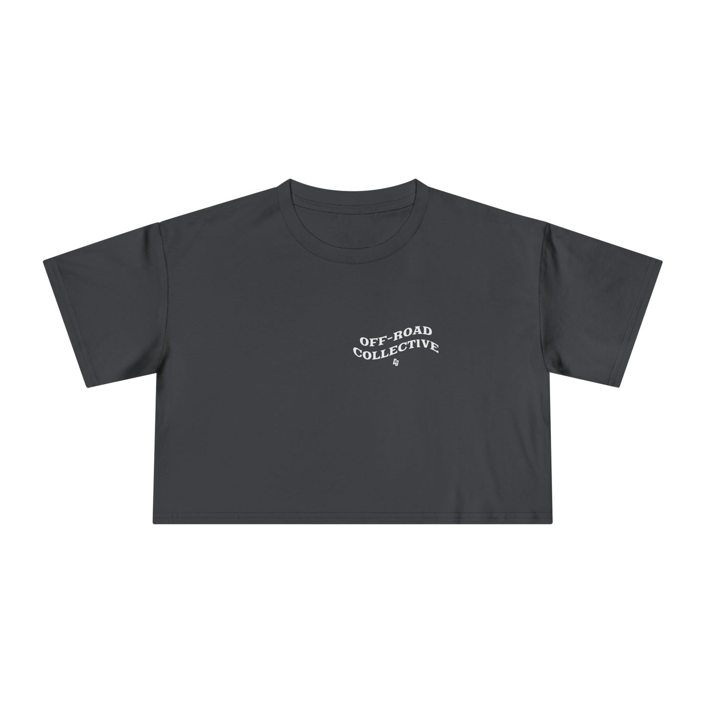 Get In Loser - LAKE Cropped Tee