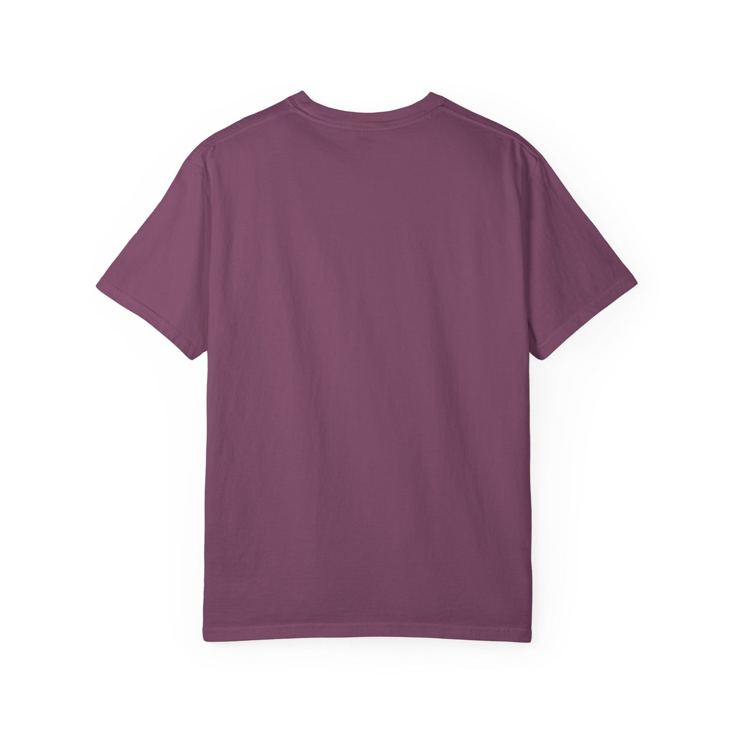 If You Ain't First 25 Comfort Colors Tee - PINK