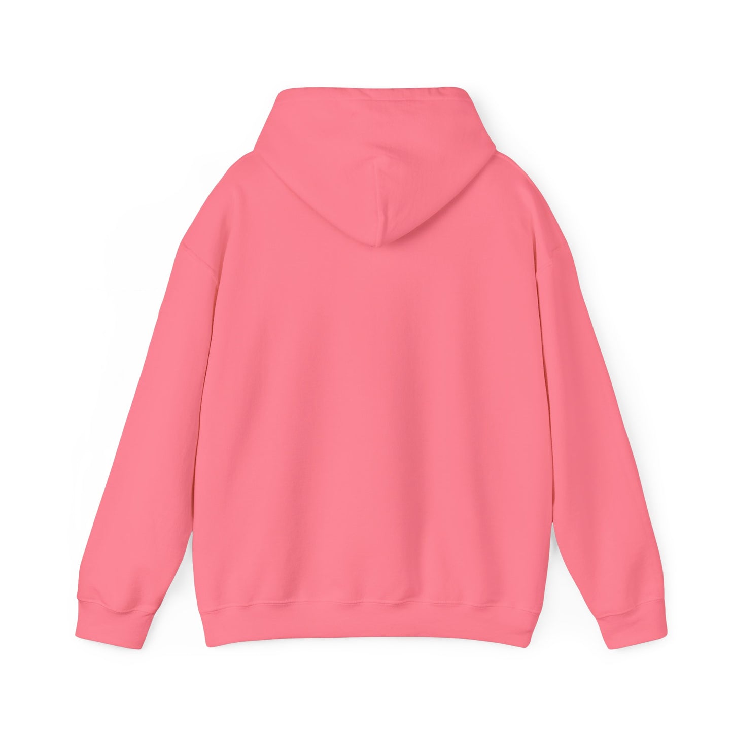 HAVASU - HOODIE