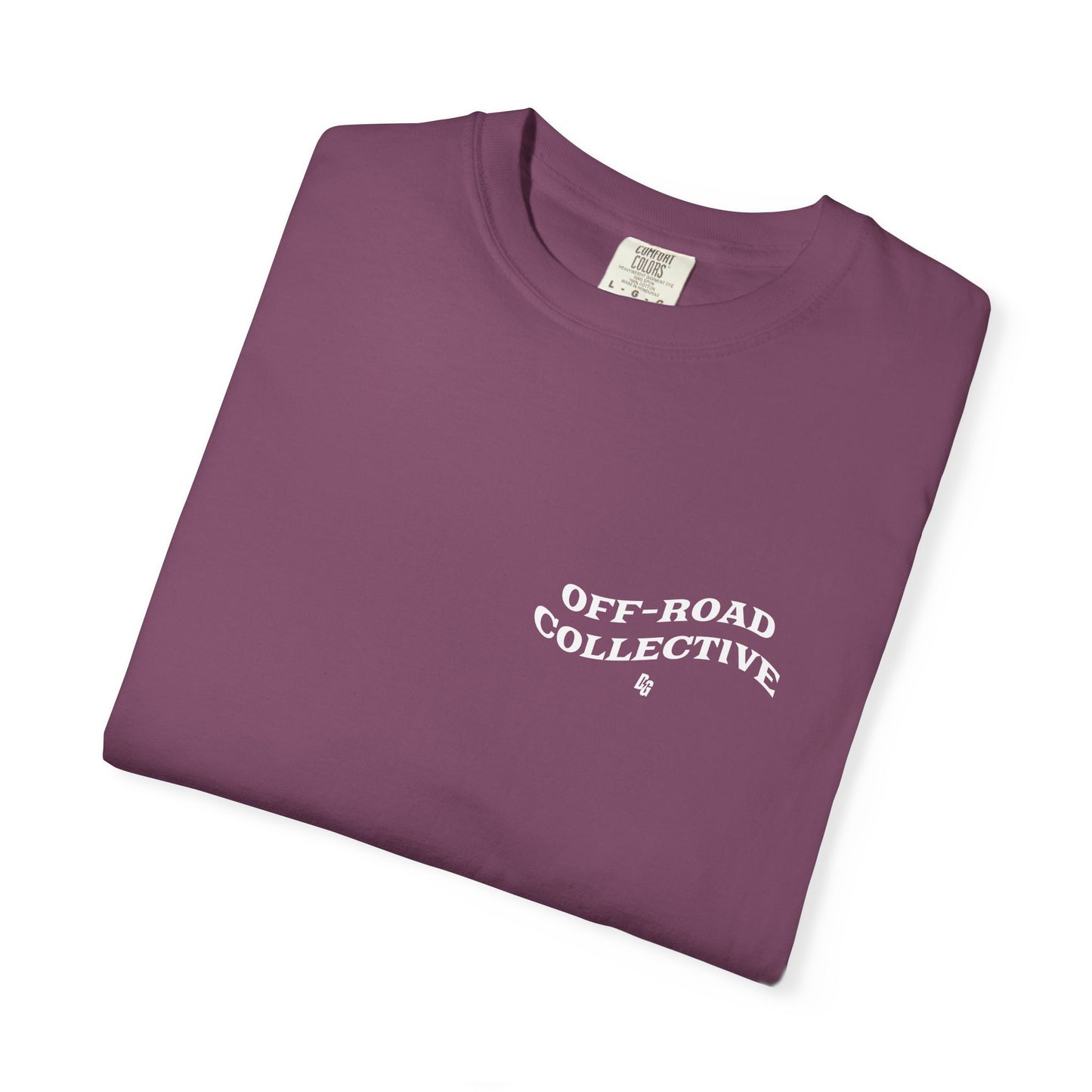 Get in Losers Comfort Colors Short Sleeve Tee - LAKE