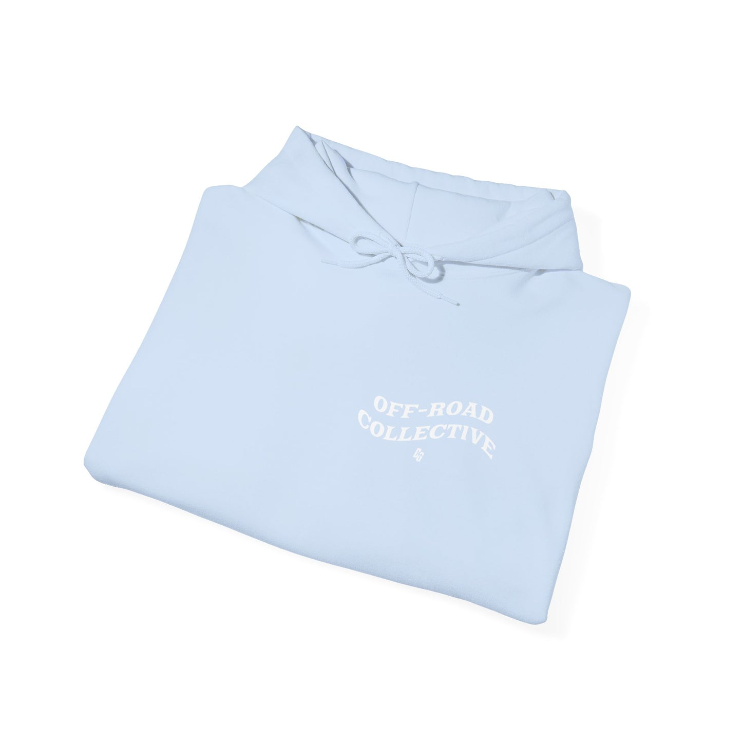 Get in Loser - LAKE Hoodie