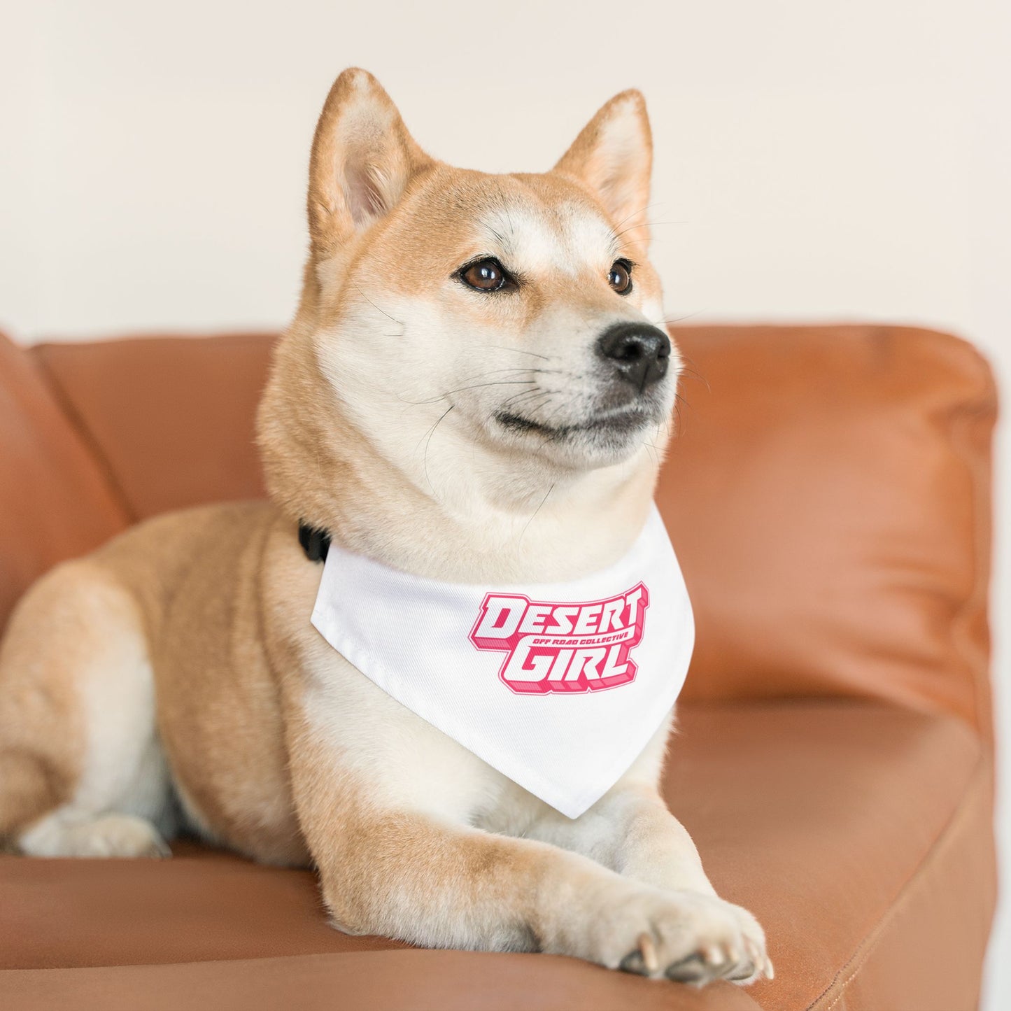 Pet Desert Girl Off-Road Collective Bandana Collar