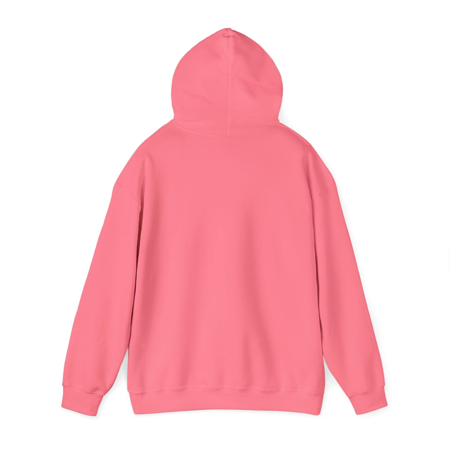 SAND HOLLOW - HOODIE