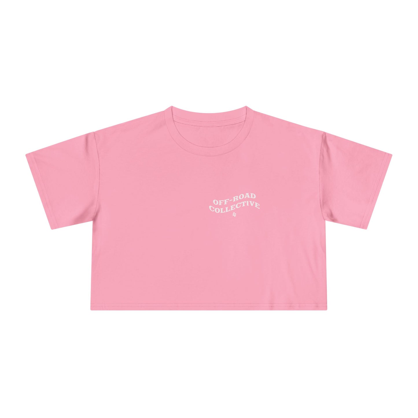 Get In Loser - LAKE Cropped Tee