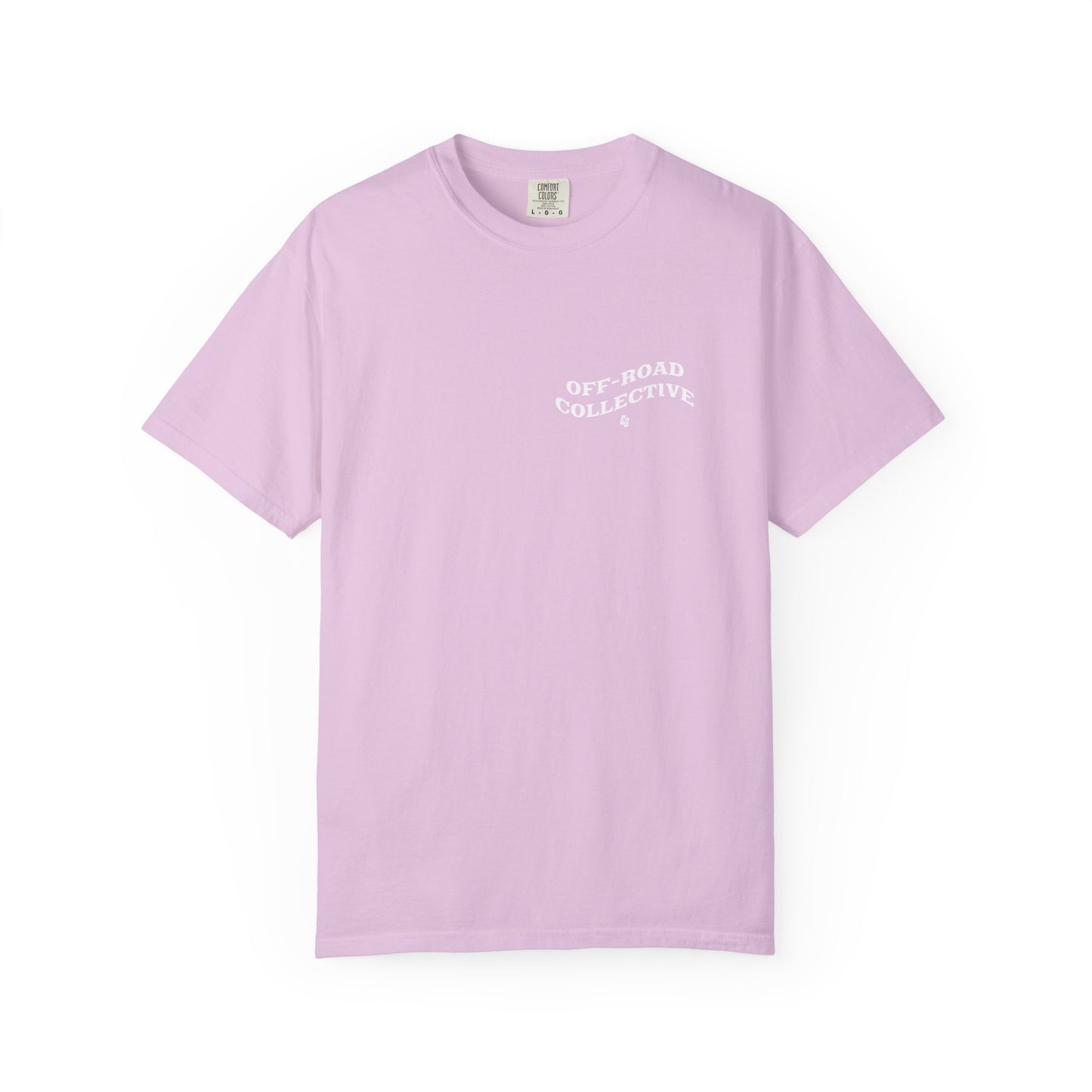 Get in Losers Comfort Colors Short Sleeve Tee - LAKE