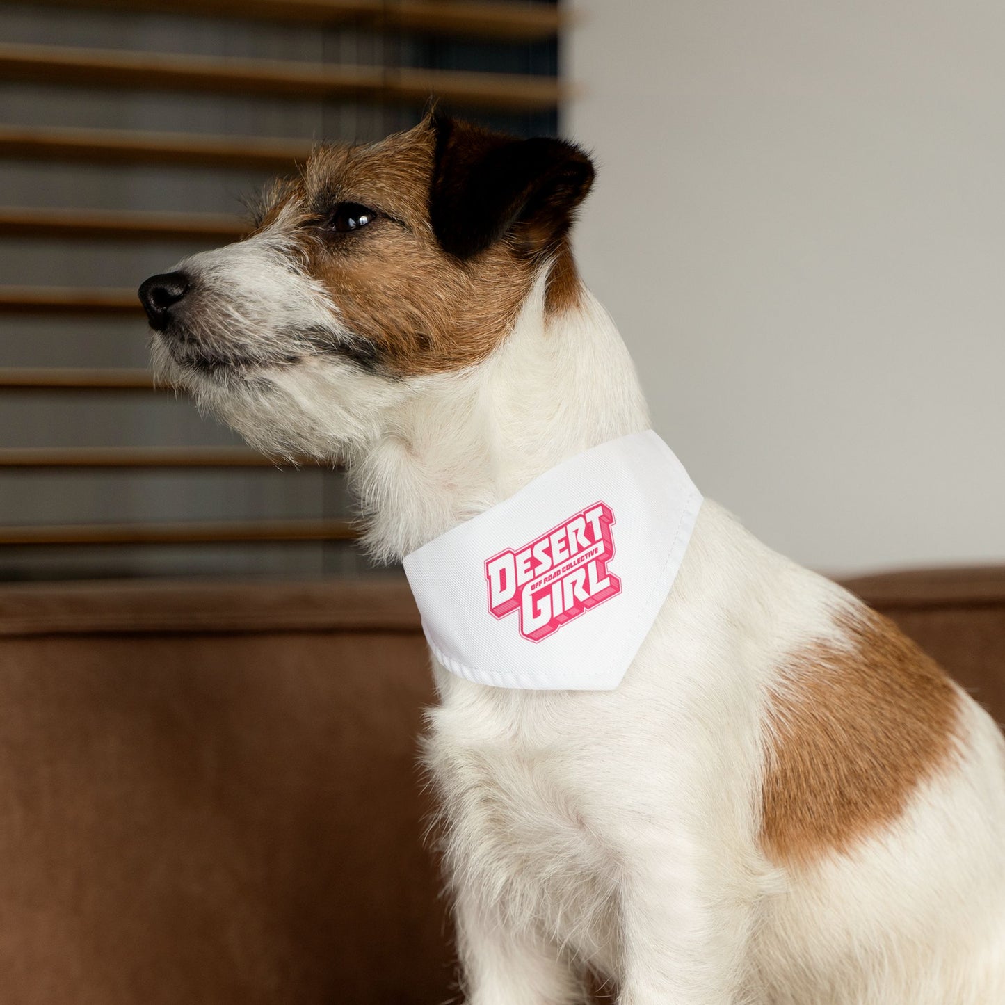 Pet Desert Girl Off-Road Collective Bandana Collar