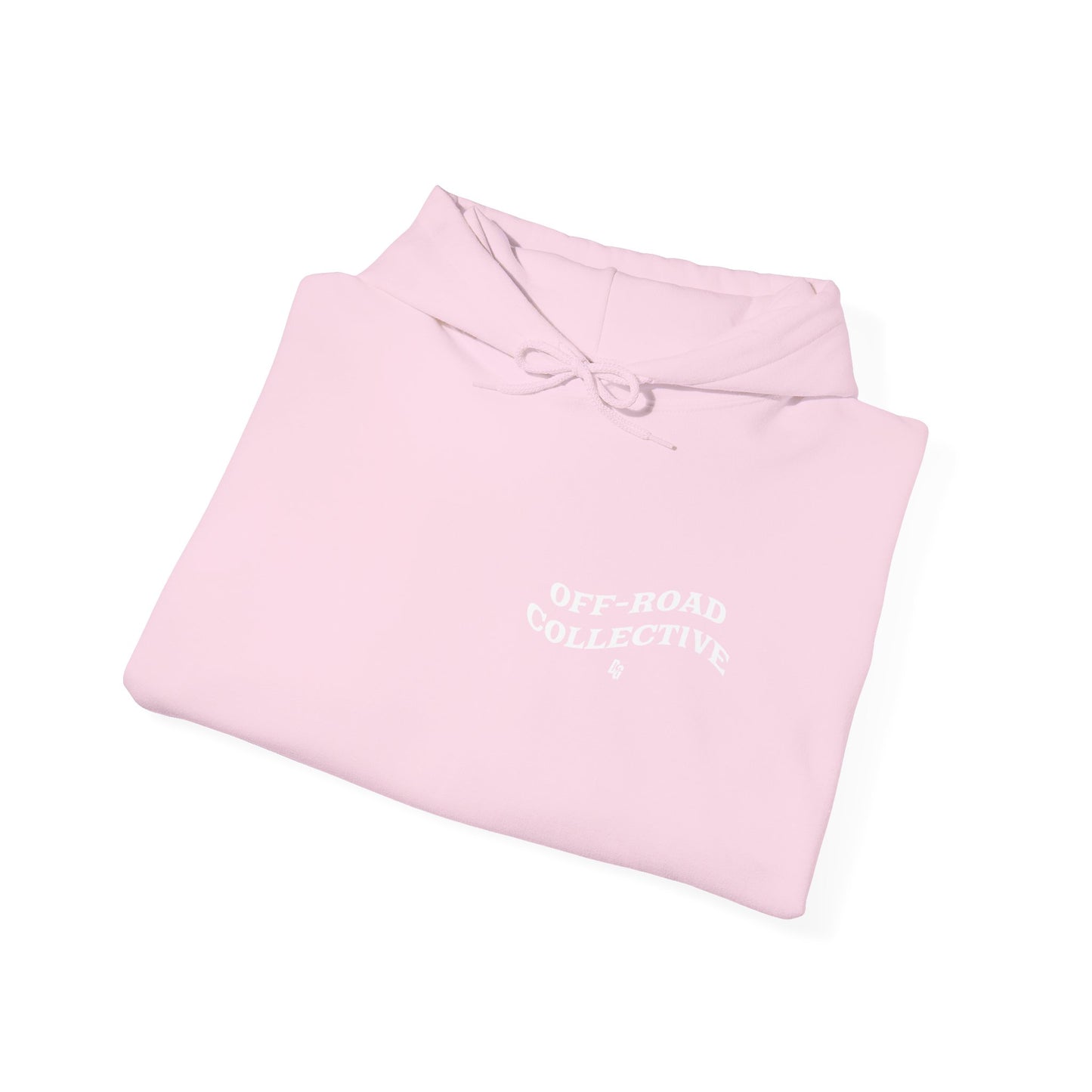 Get in Loser - LAKE Hoodie