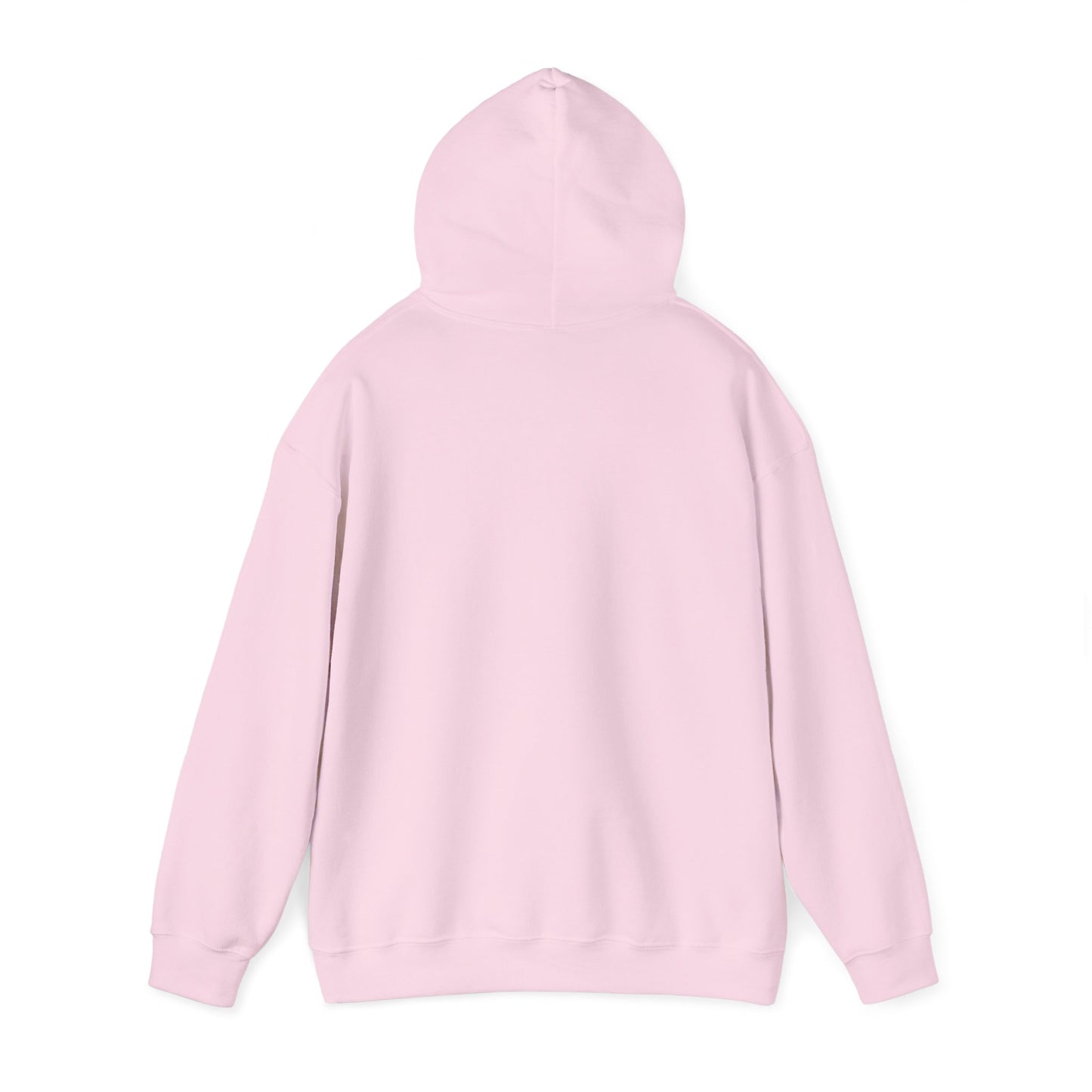 SAND HOLLOW - HOODIE