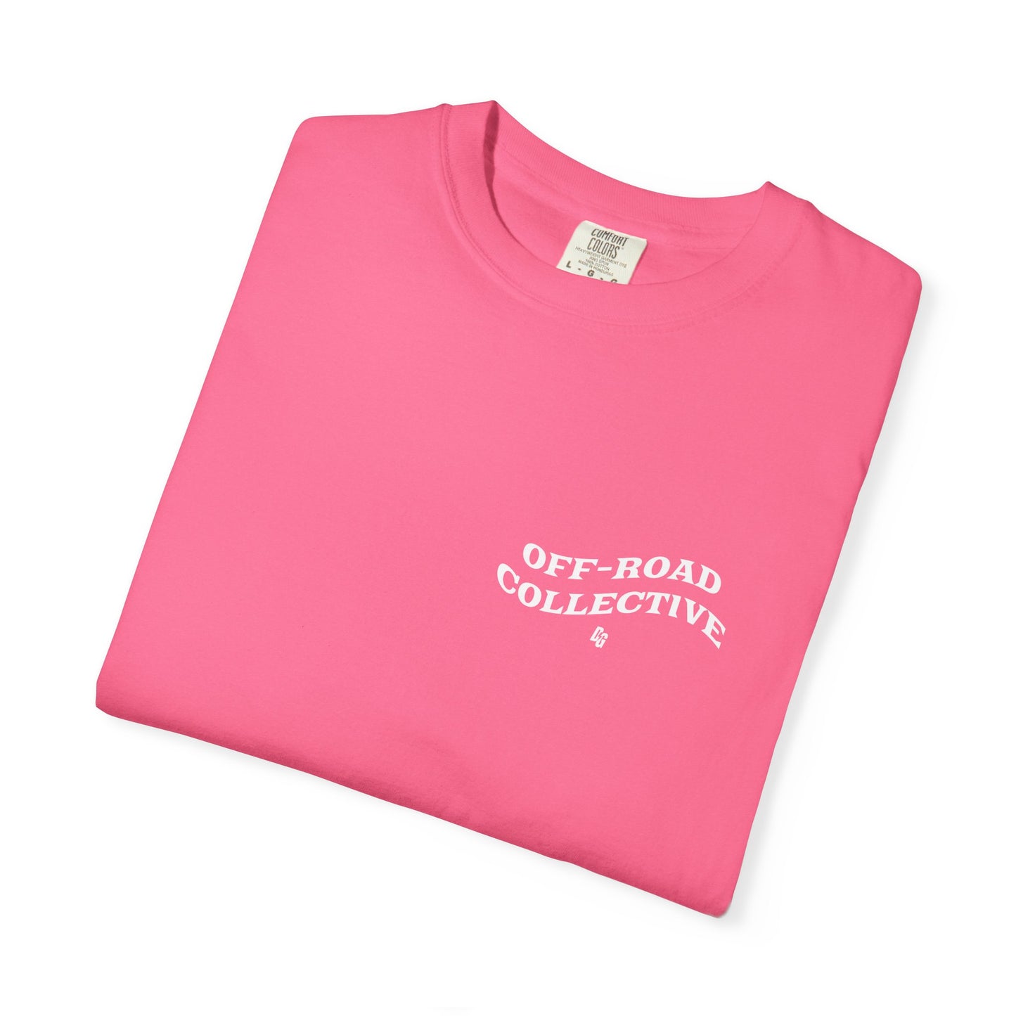 Get in Losers Comfort Colors Short Sleeve Tee - LAKE