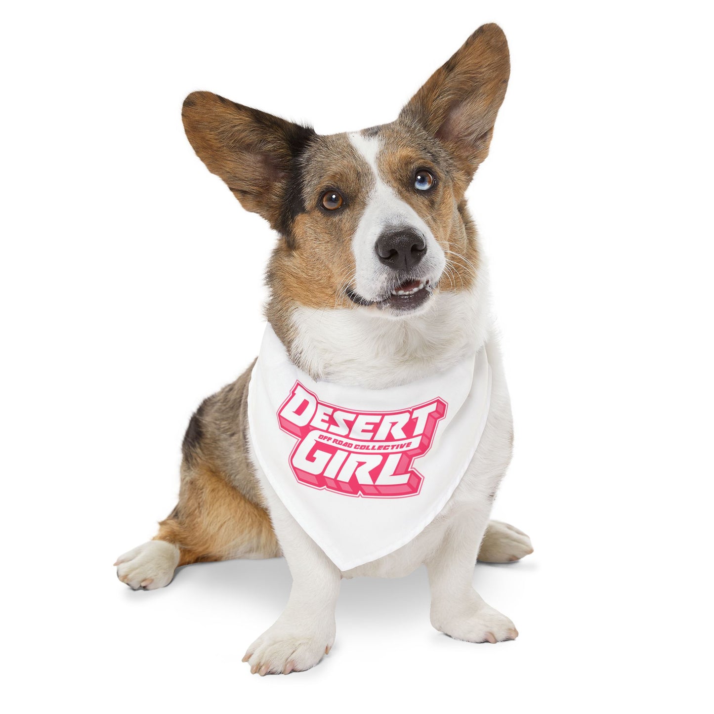 Pet Desert Girl Off-Road Collective Bandana Collar