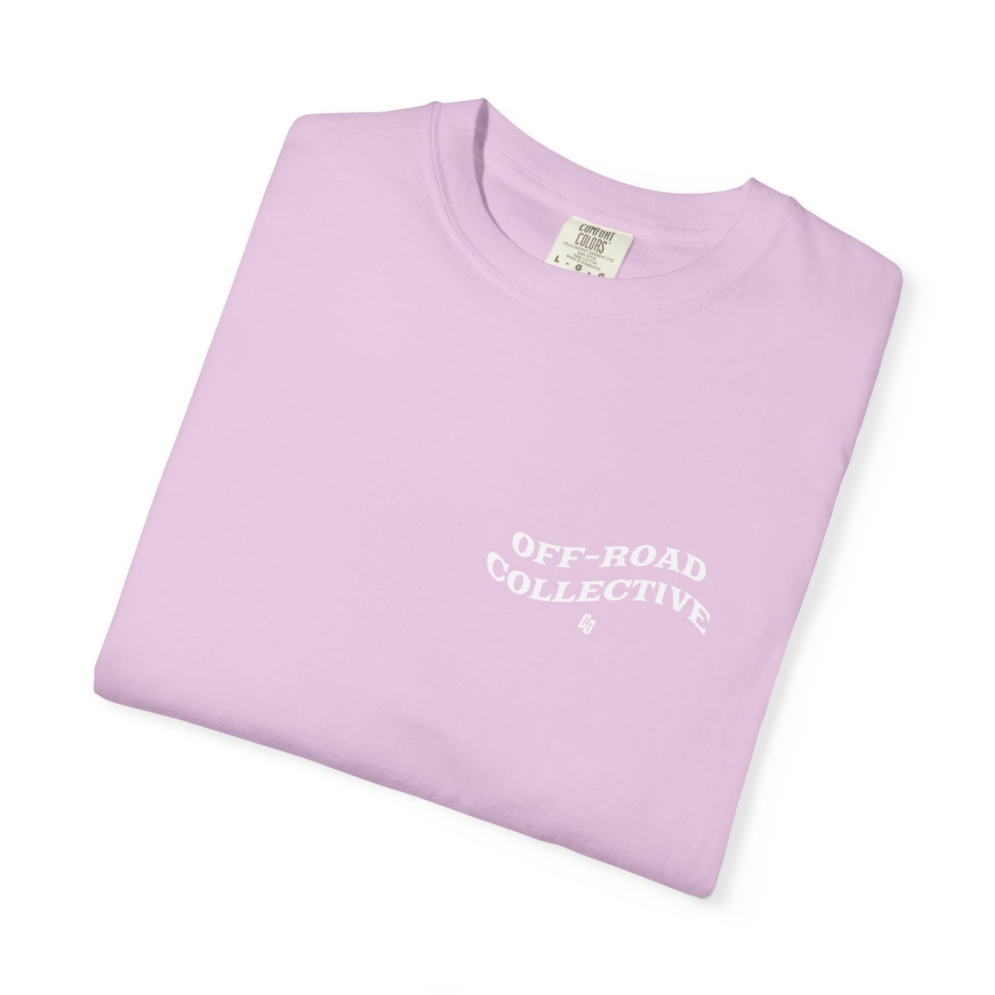 Get in Losers Comfort Colors Short Sleeve Tee - LAKE