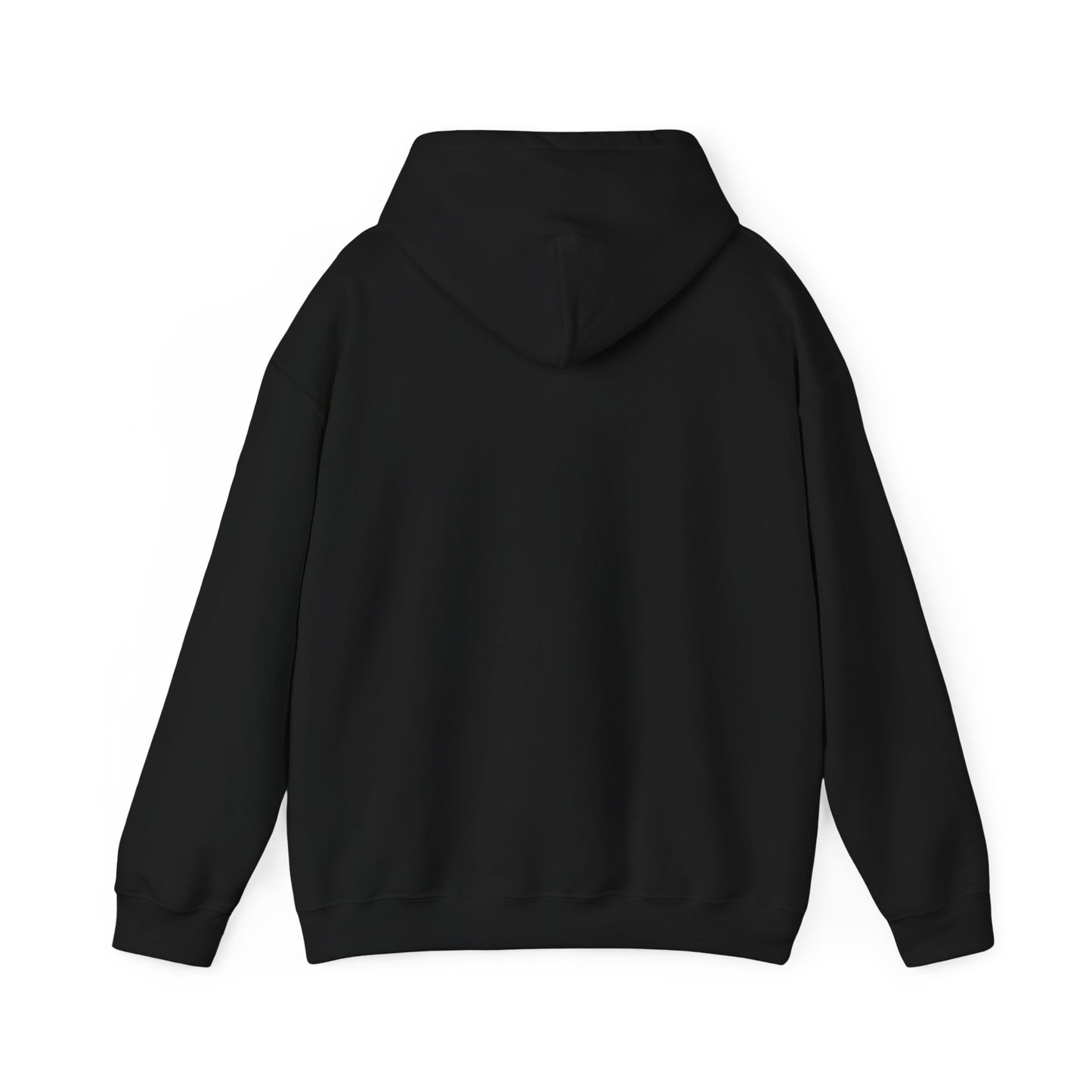 OCOTILLO WELLS - HOODIE